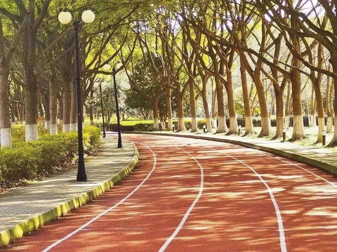 Jogging track amenity, representative image